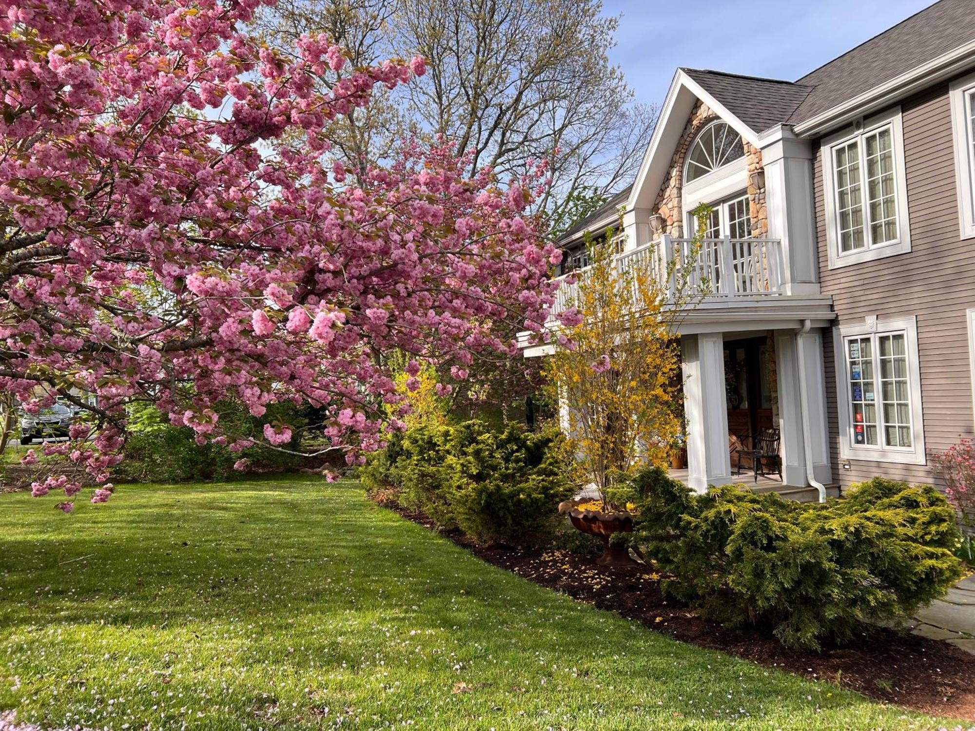 Frederick William House Otel Falmouth Dış mekan fotoğraf